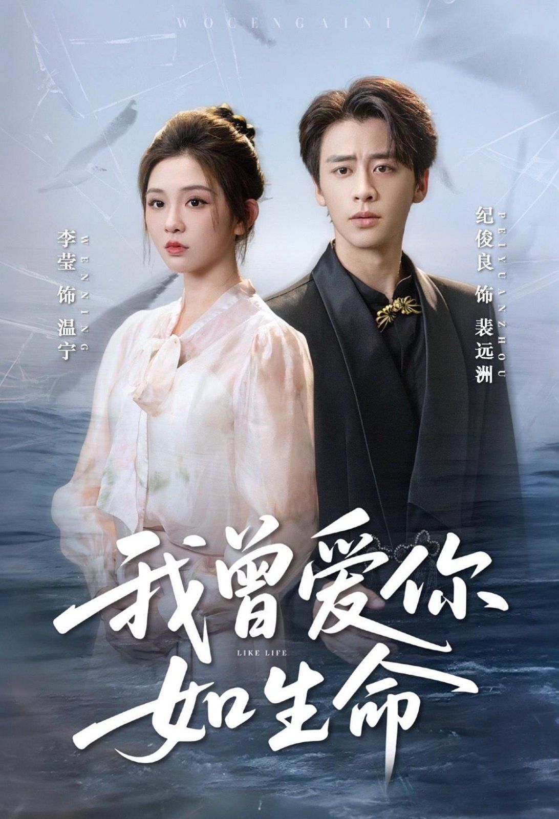 我曾爱你如生命（宁夜向远）(全集)