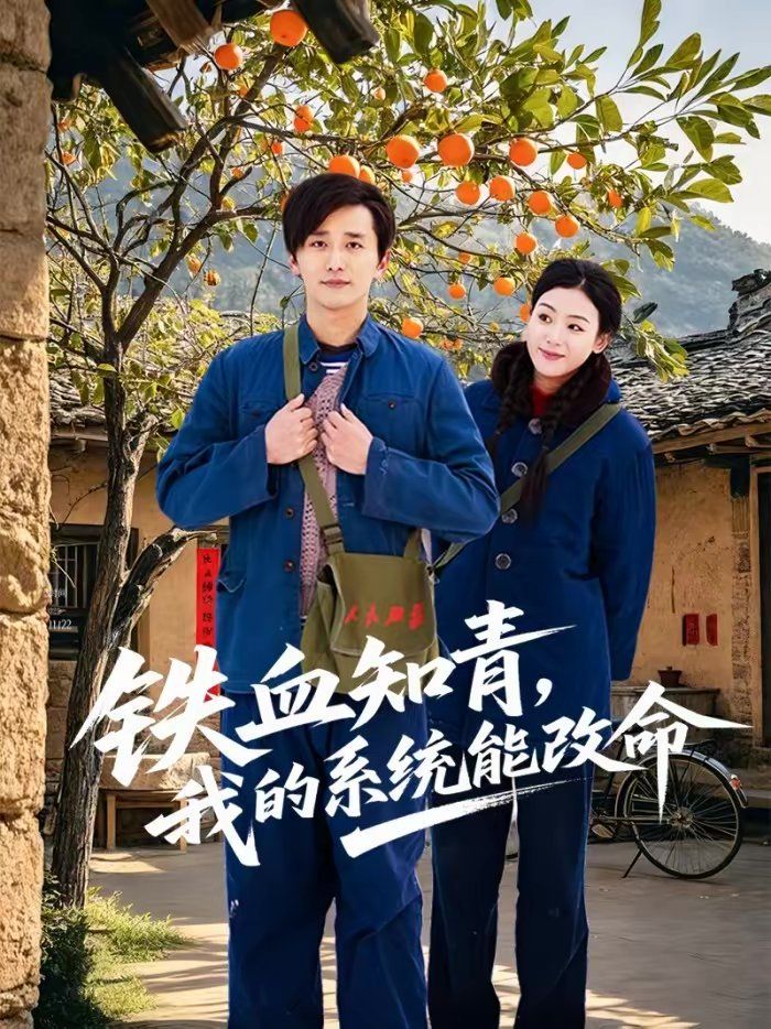 铁血知青，我的系统能改命(全集)