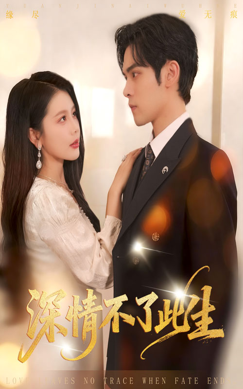 深情不了此生第19集