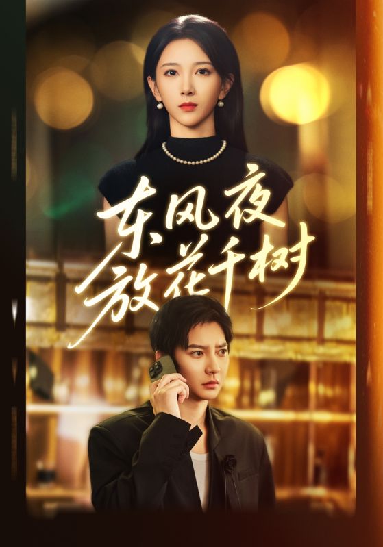 东风夜放花千树第10集