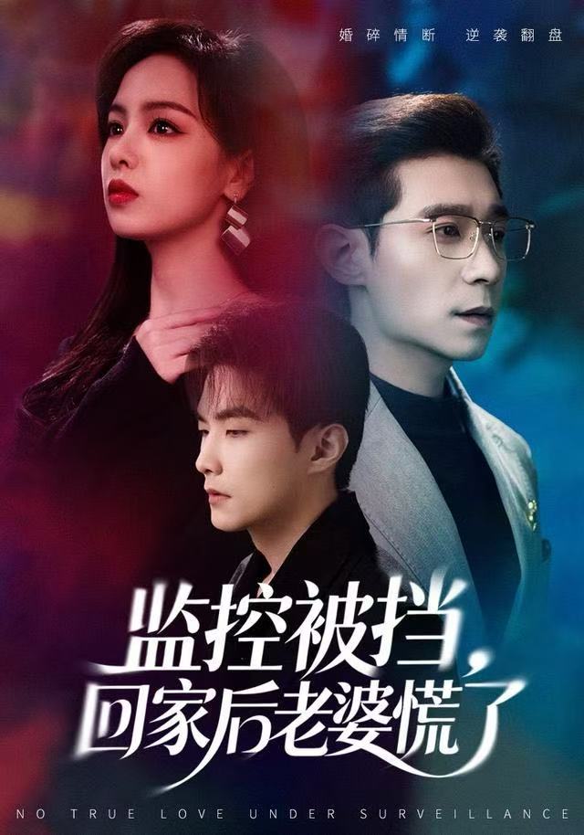 监控被挡，回家后老婆慌了第01集