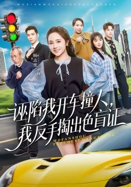 诬陷我开车撞人，我反手掏出色盲证第07集